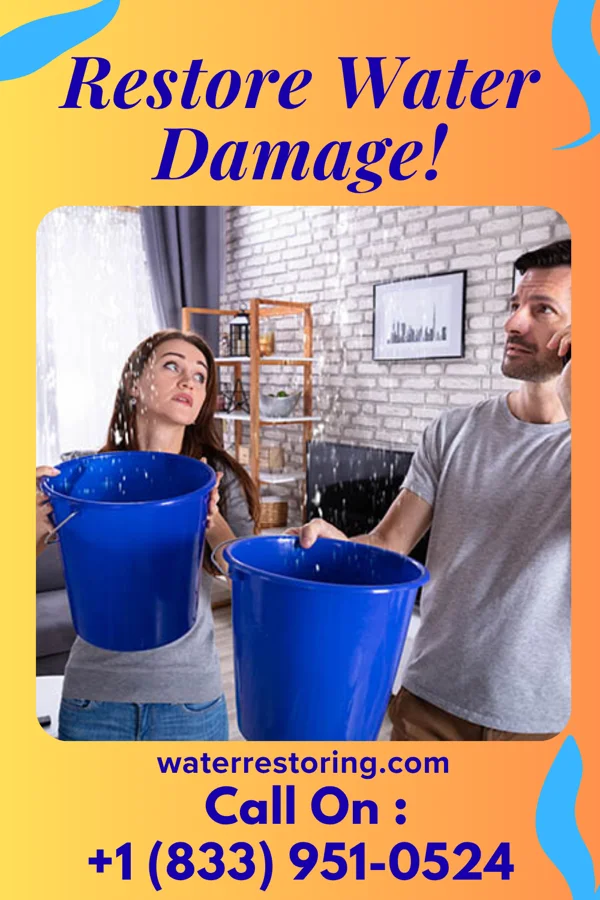 water restoration Royal Water Removal Masters Ionia