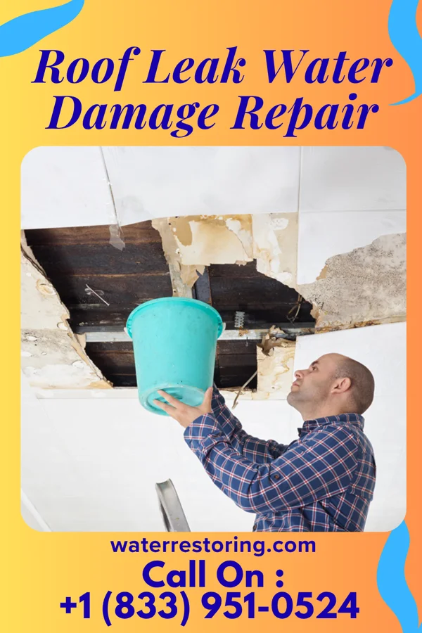 Roof Leak Water Damage Repair in Ionia, KS