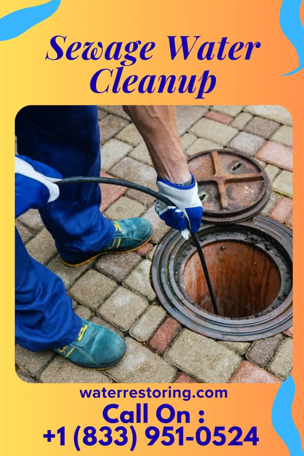 Sewage Water Cleanup in Ionia, KS